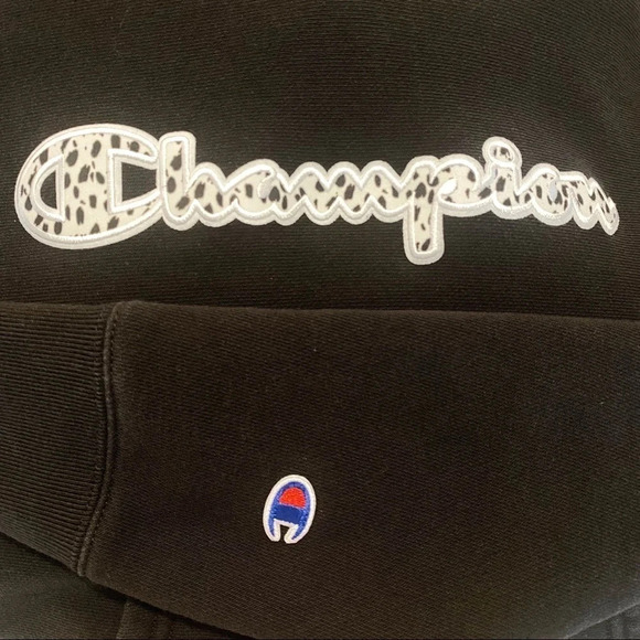 Champion UO Exclusive Animal Print Hoodie Medium Hood Sweatshirt - Picture 3 of 10